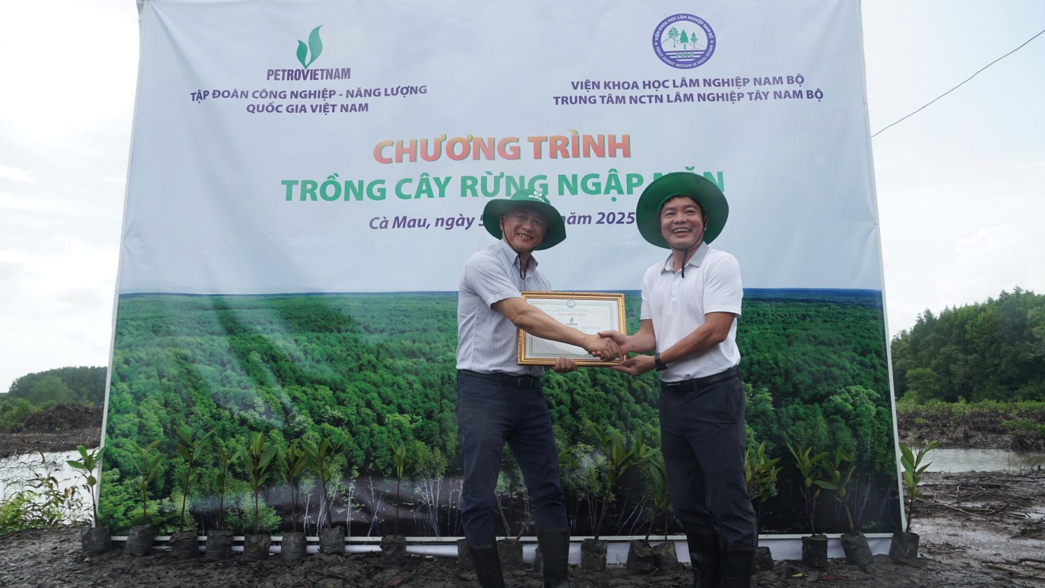 Hưởng ứng Ngày Môi trường Thế giới, Petrovietnam triển khai trồng rừng ngập mặn tại Cà Mau